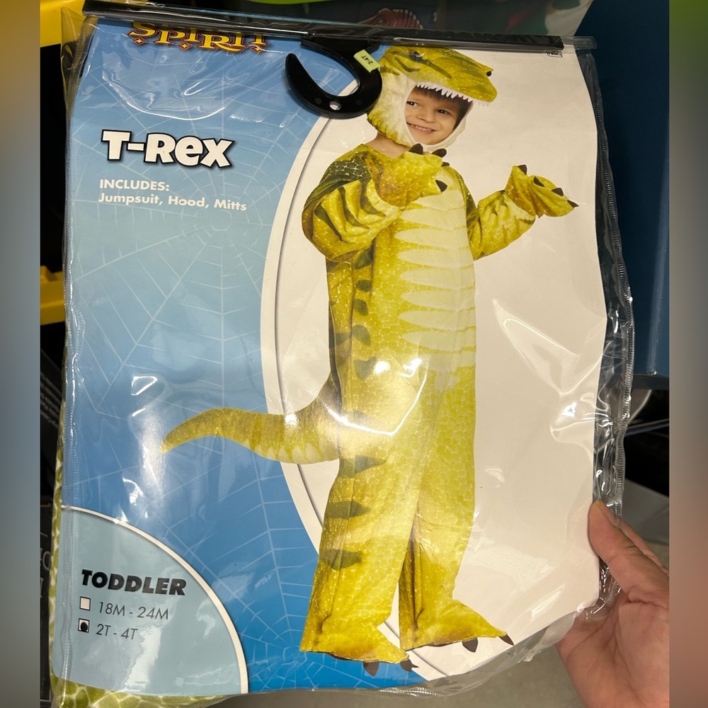 Toddler Halloween costume